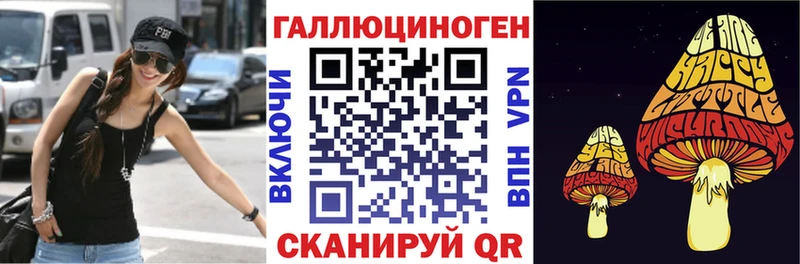 Купить закладки  Нолинск  Псилоцибиновые грибы Magic Shrooms 