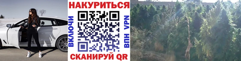 МАРИХУАНА индика  Купить закладки  Нолинск 